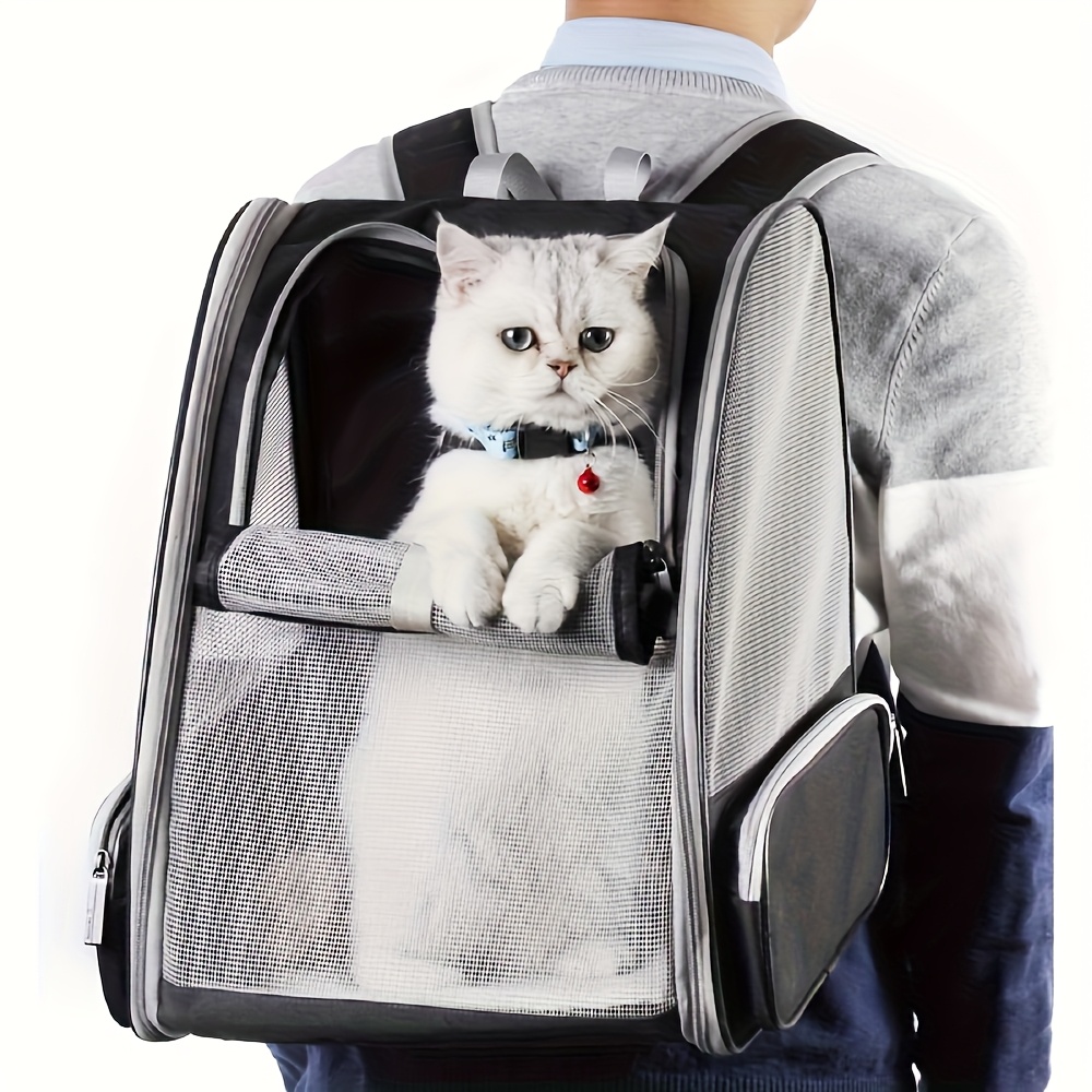 Katlanabilir, havalandırmalı e - Foldable Backpack Small incelemesi ve fiyatı